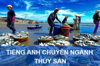 61 từ vựng Tiếng Anh chuyên ngành Thủy Sản