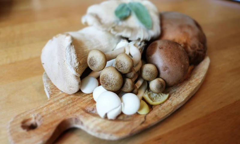 Tu-vung-tieng-anh-ve-cac-loai-nam