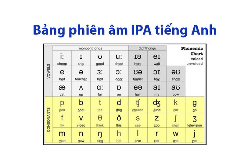 Bảng phiên âm IPA tiếng Anh