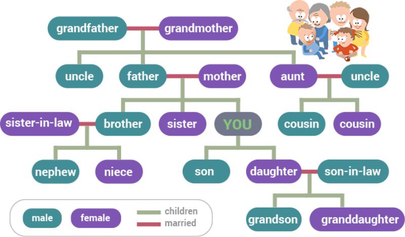 Tổng hợp từ vựng tiếng Anh về gia đình