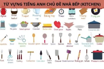 Các từ vựng tiếng Anh chủ đề Kitchen – Nhà Bếp
