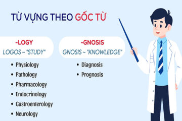 500+ Từ vựng tiếng Anh chuyên ngành y dược theo chủ đề
