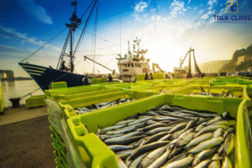 Tổng hợp từ vựng tiếng Anh chuyên ngành Thủy Sản