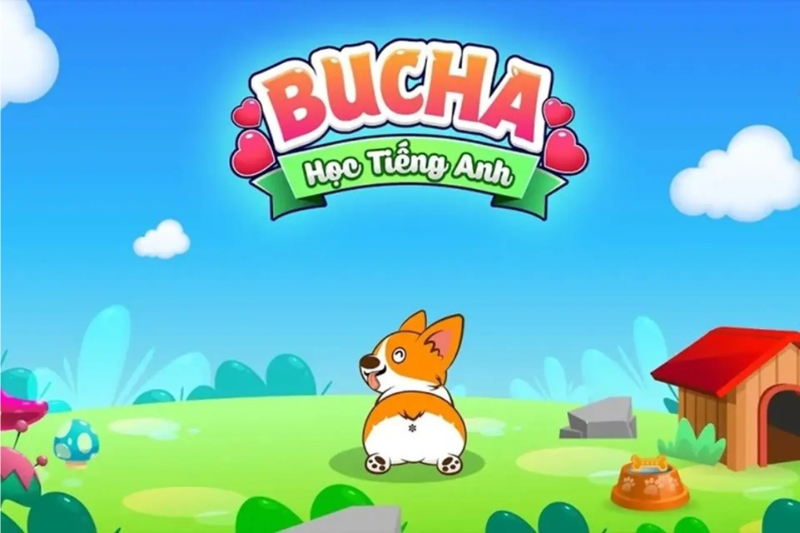 Bucha học Tiếng Anh