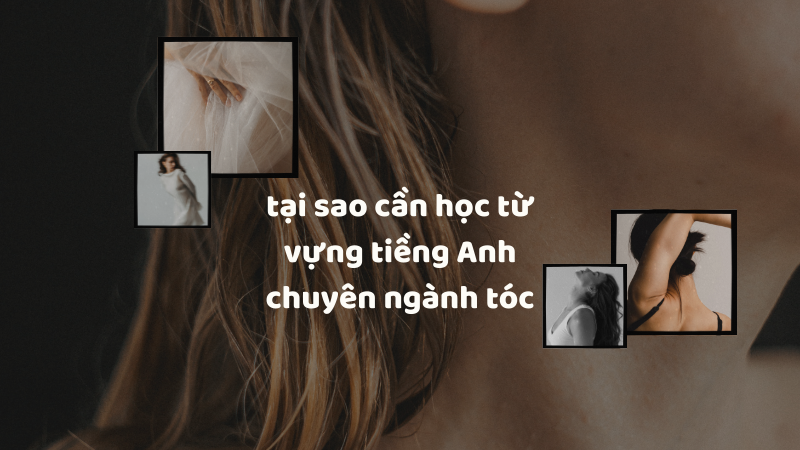 Từ vựng tiếng Anh chuyên ngành tóc không chỉ là công cụ giao tiếp mà còn là lợi thế cạnh tranh cho các salon