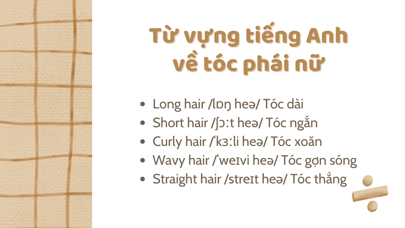 Từ vựng tiếng Anh về tóc phái nữ