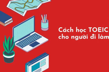 Lộ trình học TOEIC cho người đi làm chuẩn, theo từng giai đoạn