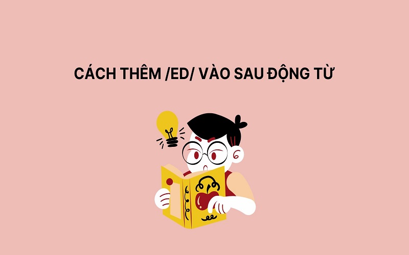 Cach-them-ed-vao-sau-dong-tu-dung-chuan