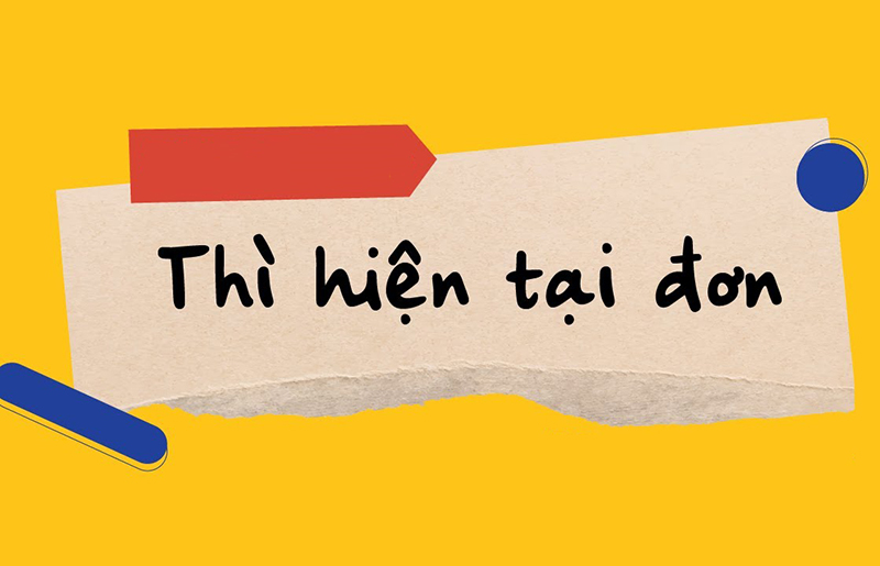 anh-img-thi-hien-tai-don
