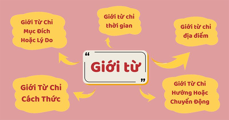 Gioi-tu-trong-tieng-Anh-la-gi
