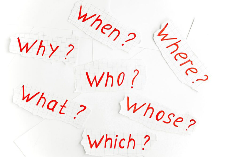 Phan-biet-which-voi-what-who-that