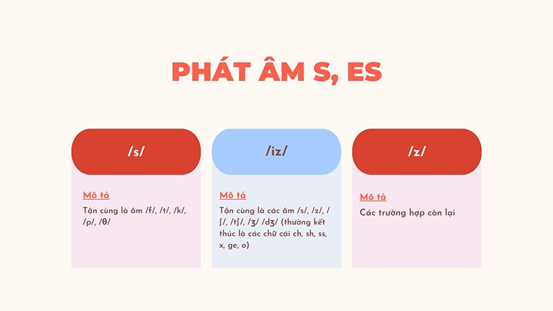 Quy-tac-phat-am-s-es-trong-tieng-anh