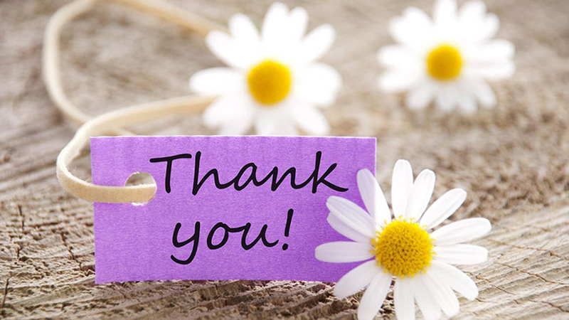 khai-niem-Thank-you-la-gi