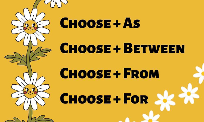 Cac-cau-truc-khac-voi-Choose