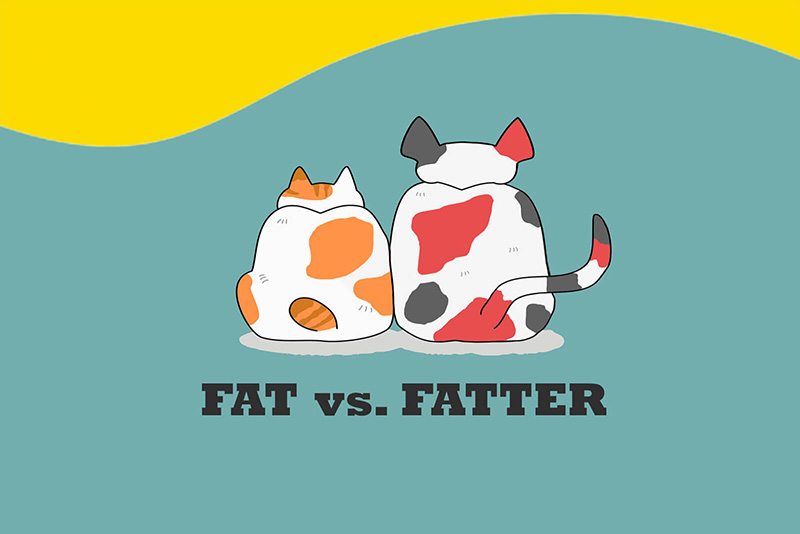 Cau-so-sanh-trong-tieng-Anh-comparisons-la-gi