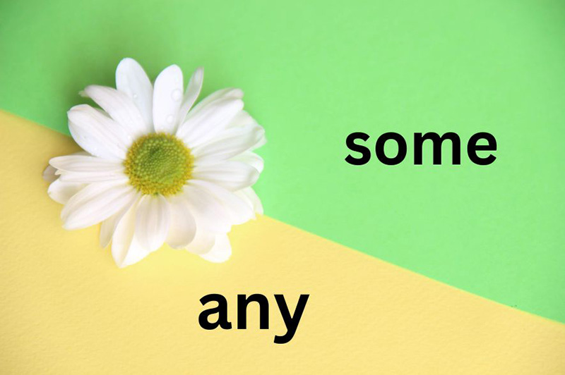 Phan-biet-Some-va-Any-chi-tiet