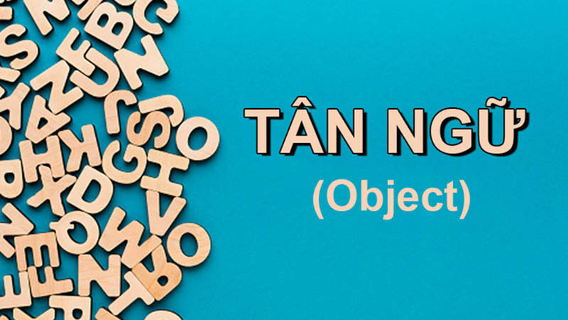 Sau-dong-tu-la-tan-ngu-Object-