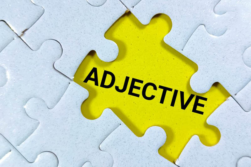 Sau-dong-tu-la-tinh-tu-Adjective