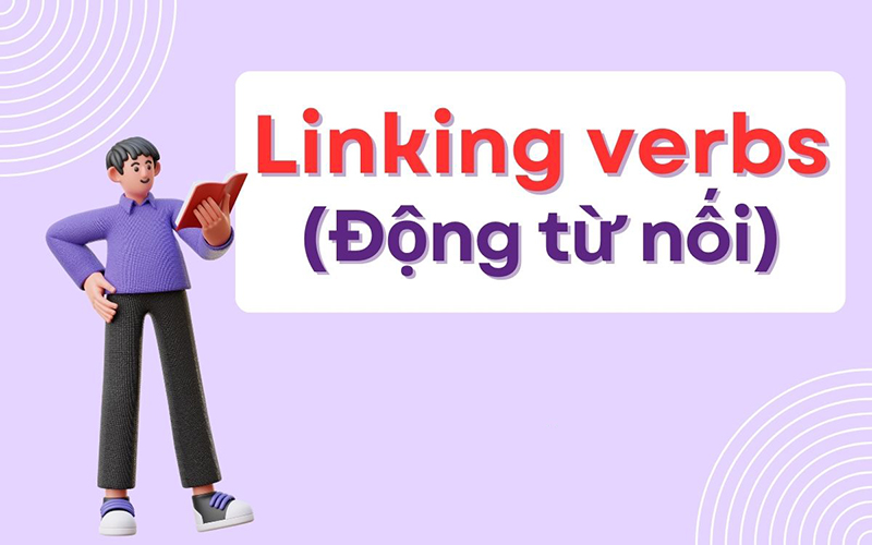 truoc-tinh-tu-la-Dong-tu-noi