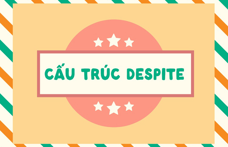 anh-img-cau-truc-despite