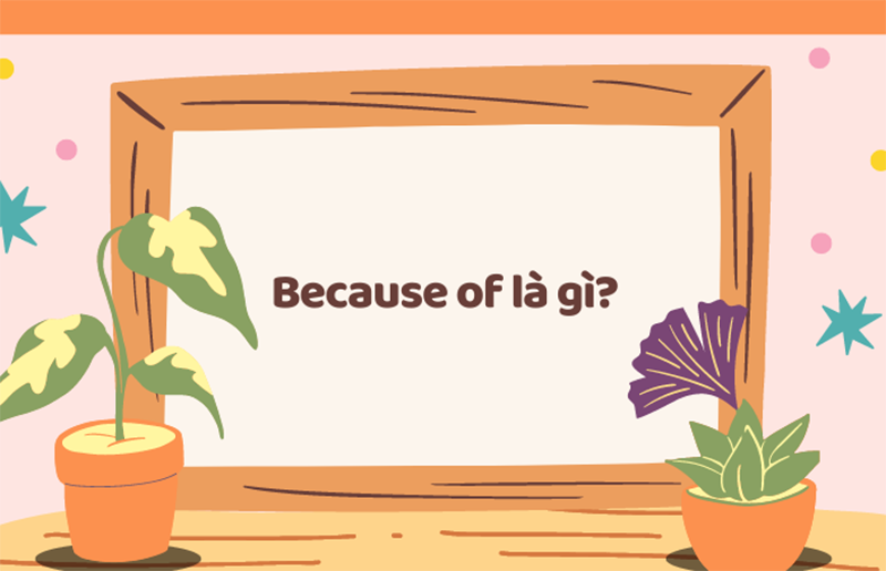 anh-img-cau-truc-because-of