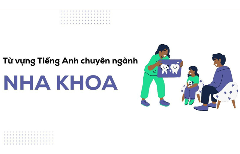 anh-img-tu-vung-tieng-anh-chuyen-nganh-nha-khoa