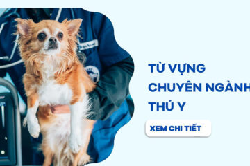 500+ Từ vựng tiếng Anh chuyên ngành thú y (có phiên âm)