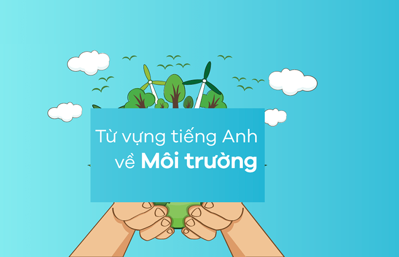 anh-img-tu-vung-tieng-anh-chuyen-nganh-moi-truong
