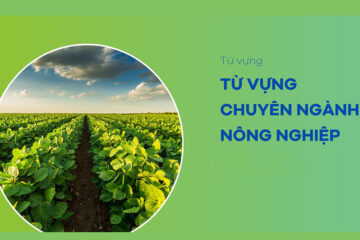 500+ Từ vựng tiếng Anh về nông nghiệp (Phiên âm + ví dụ)