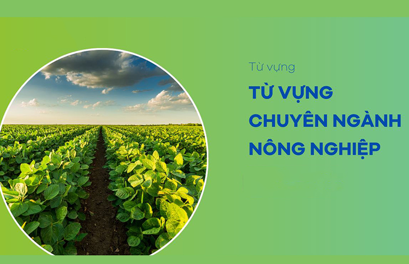 anh-img-tu-vung-tieng-anh-chuyen-nganh-nong-nghiep