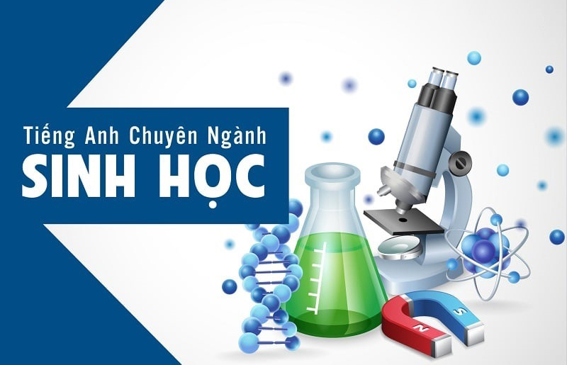 anh-img-tu-vung-tieng-anh-chuyen-nganh-sinh-hoc