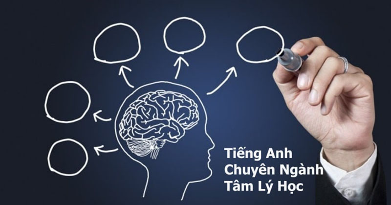 Cách học từ vựng tiếng ANh chuyên ngành tâm lý học
