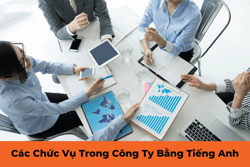 Mẫu câu về chức vụ trong công ty