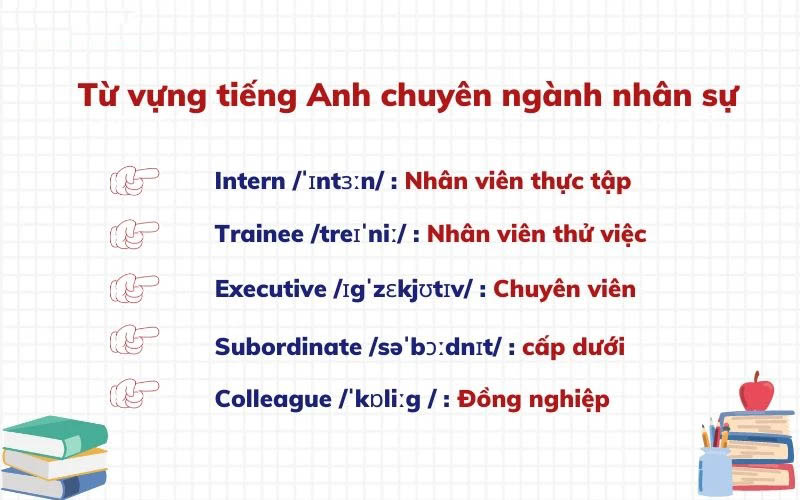 Từ vựng chức vụ trong lĩnh vực hành chính nhân sự