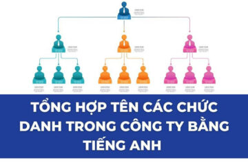 200+ Từ vựng các chức vụ trong công ty bằng tiếng Anh chi tiết