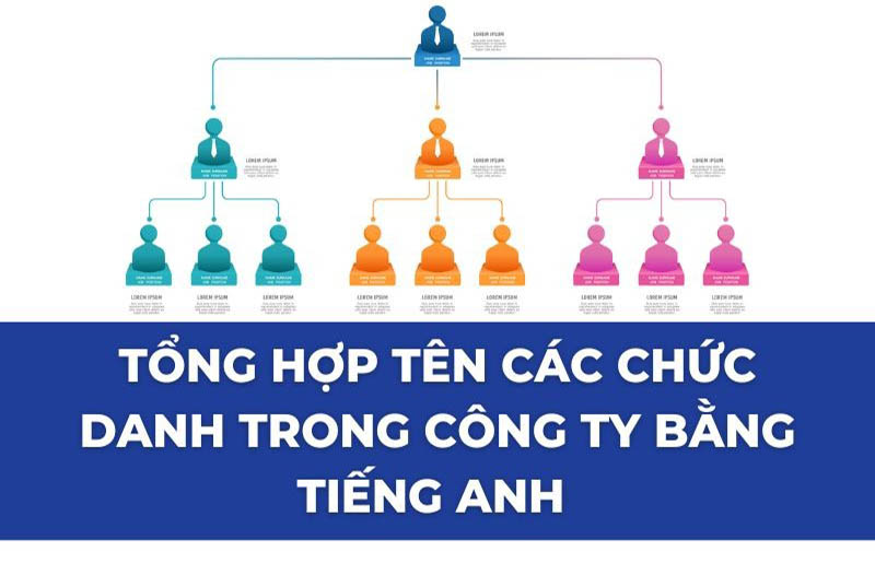 Từ vựng chức vụ trong công ty bằng tiếng Anh