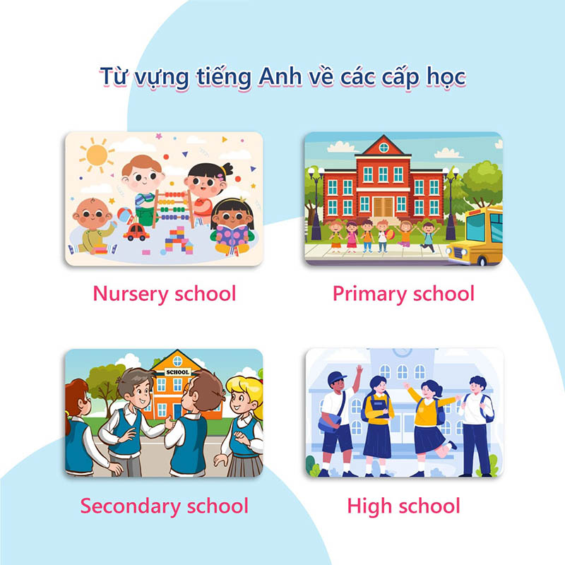 Từ vựng tiếng Anh về cấp học