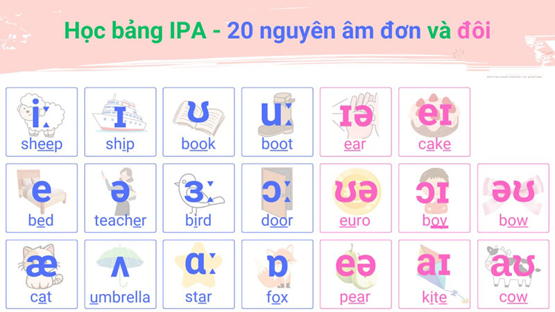 Bảng IPA nguyên âm trong tiếng Anh
