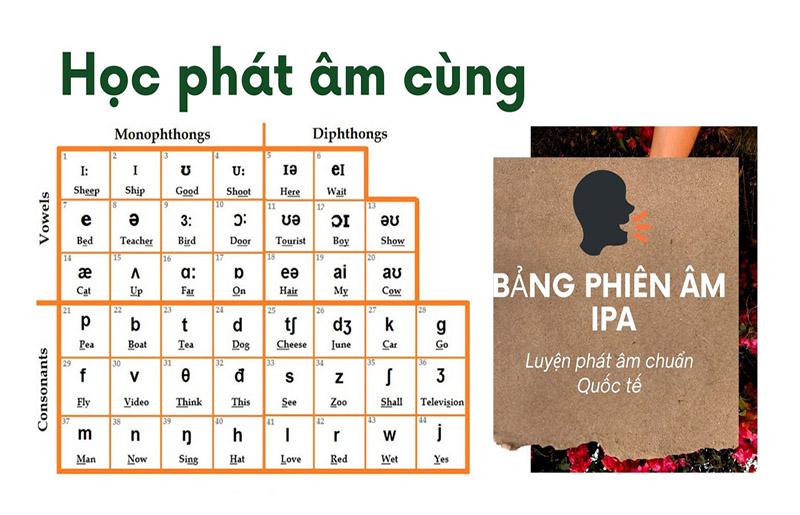 Bảng phiên âm IPA