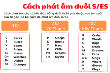 Nguyên tắc phát âm s es ed kèm bài tập và đáp án