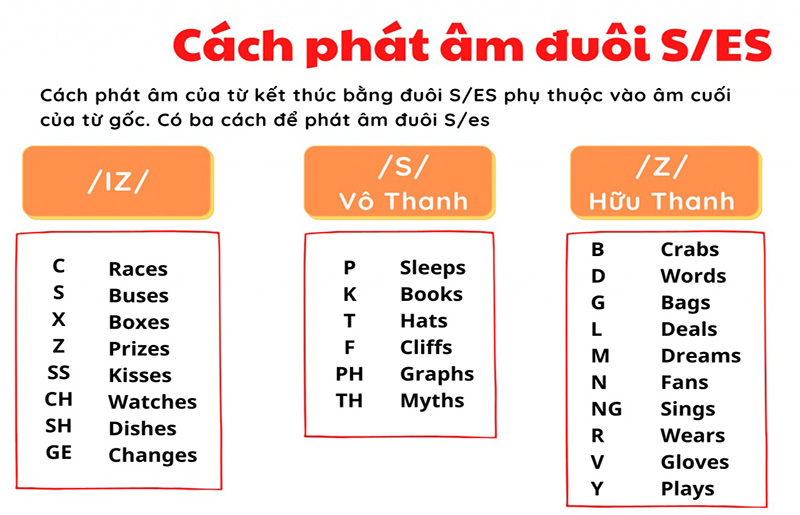 Cách phát âm đuôi s, es, ed