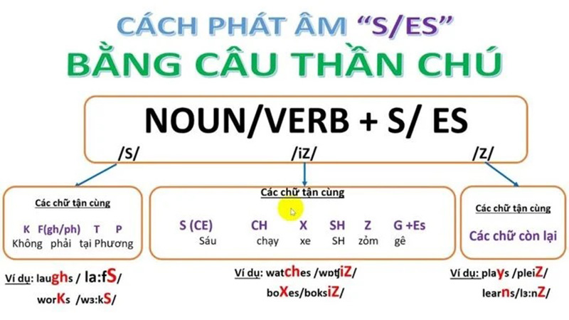 Nguyên tắc phát âm S, ES trong tiếng Anh