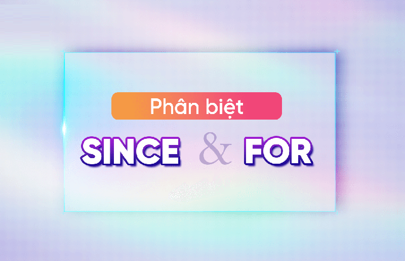 anh-img-cau-truc-since-va-for