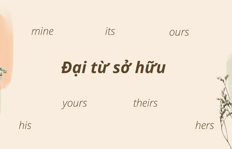 Dai-tu-so-huu-Possessive-Pronouns-trong-tieng-Anh-la-gi