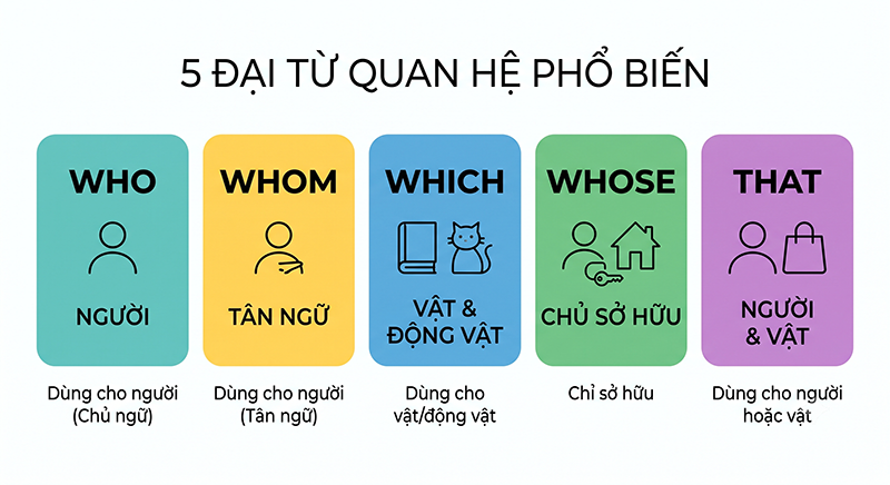 Phan-loai-va-cach-dung-5-dai-tu-quan-he-pho-bien-nhat