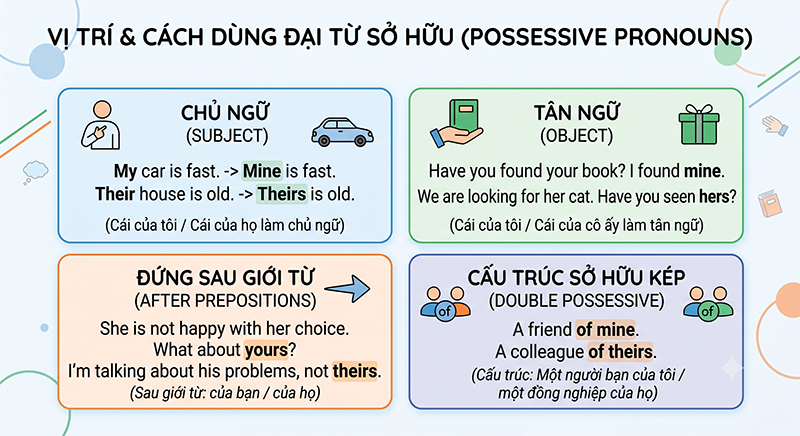 Vi-tri-va-cach-dung-dai-tu-so-huu-pho-bien