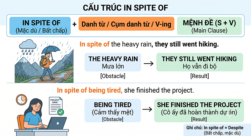 Y-nghia-cua-cau-truc-In-spite-of