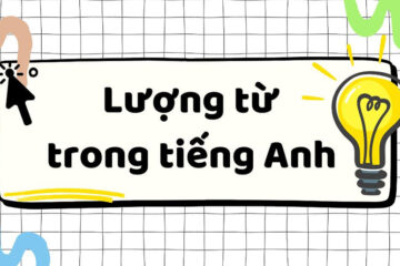 Lượng từ (Quantifiers) trong tiếng Anh: Cách dùng, phân loại