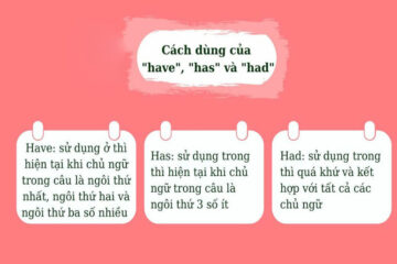 Hướng dẫn cách dùng have và has chuẩn trong tiếng Anh