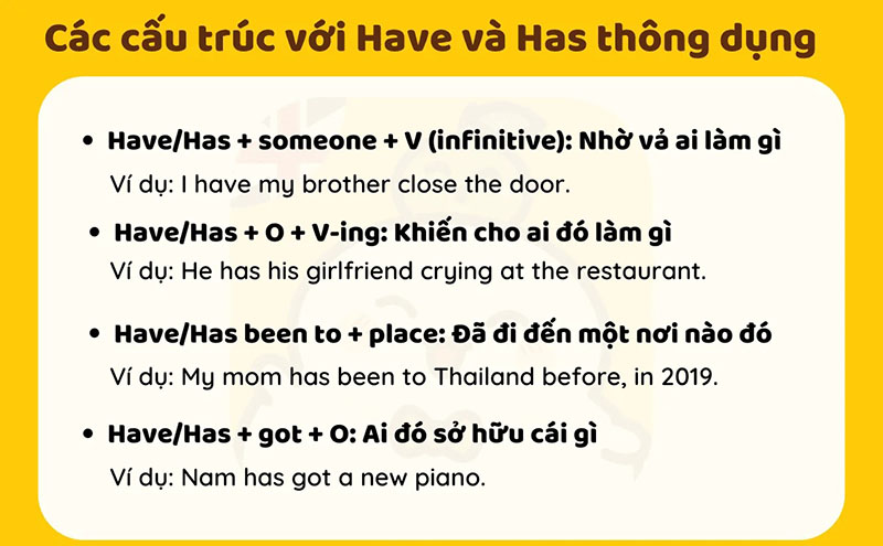 Cấu trúc have has